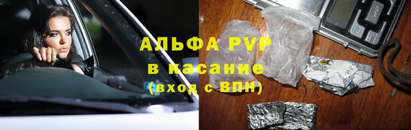 меф Арсеньев