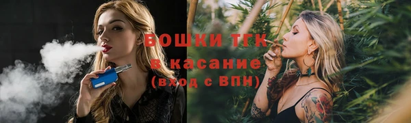 меф Арсеньев