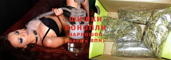 гидра Аркадак