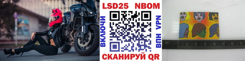 где можно купить   Ивдель  Наркотические марки 1,8мг 