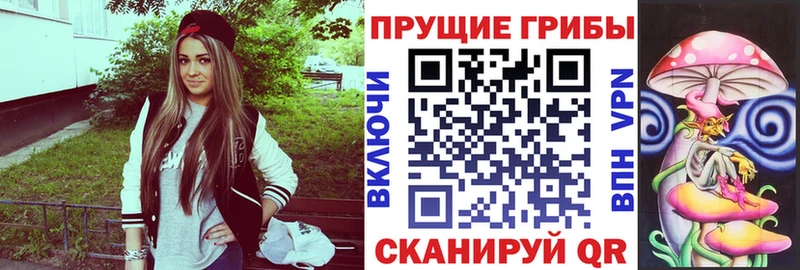 Псилоцибиновые грибы Psilocybe  наркота  Ивдель 
